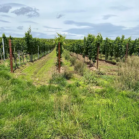 公寓 Landleben Fuer 2-3 Personen 埃德斯海姆