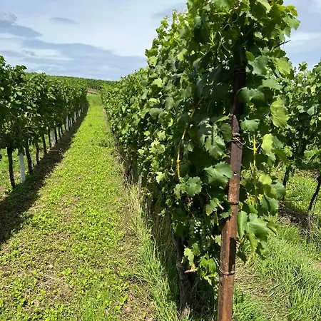 Landleben Fuer 2-3 Personen