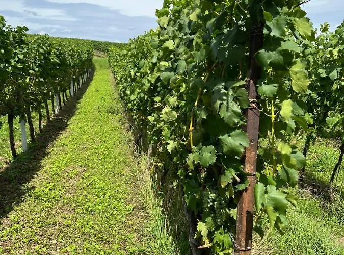 Landleben Fuer 2-3 Personen